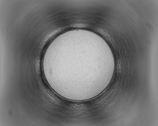 X0000112400535200909110931
