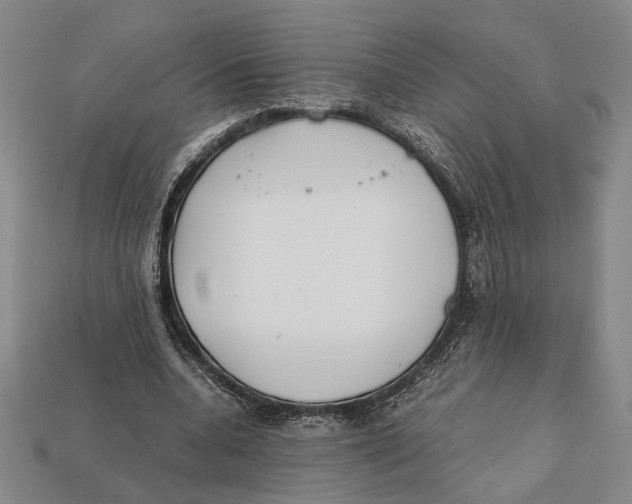 X0000112400536200909110931