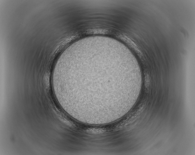 X0000112400537200909110931
