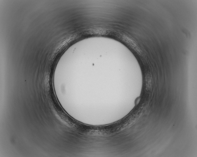 X0000112400538200909110931