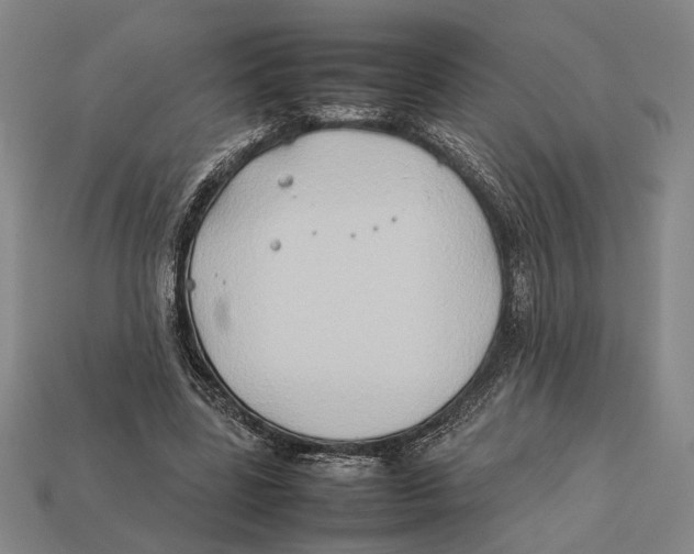 X0000112400539200909110931