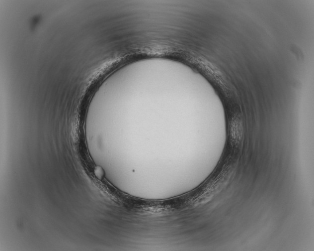 X0000112400540200909110931
