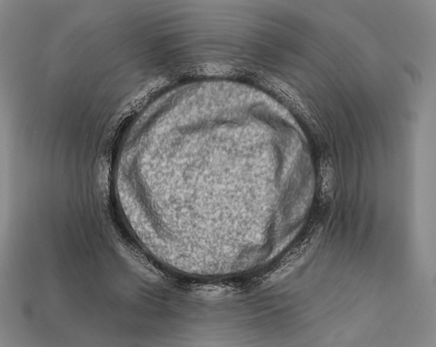 X0000112400542200909110931