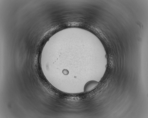 X0000112400543200909110931