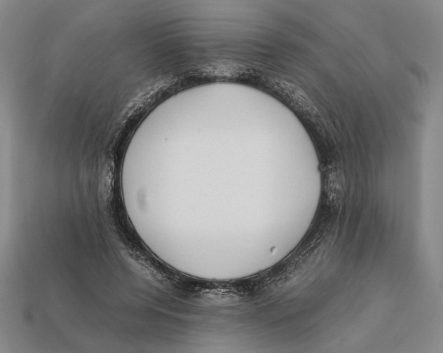 X0000112400544200909110931