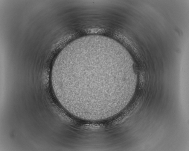 X0000112400545200909110931