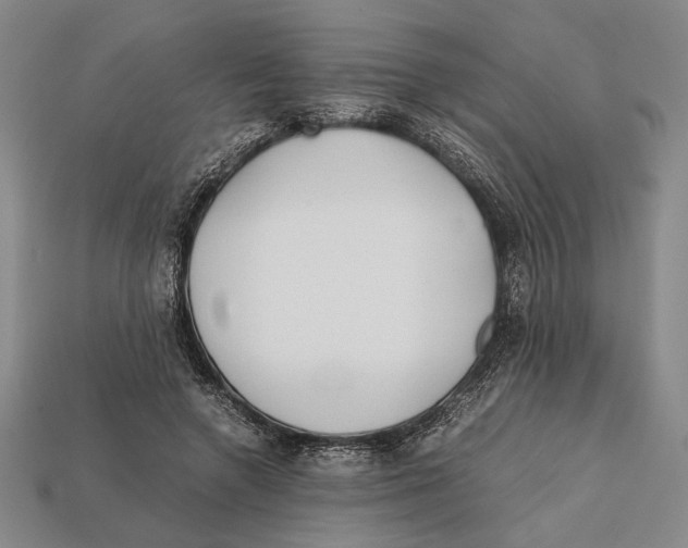X0000112400546200909110931