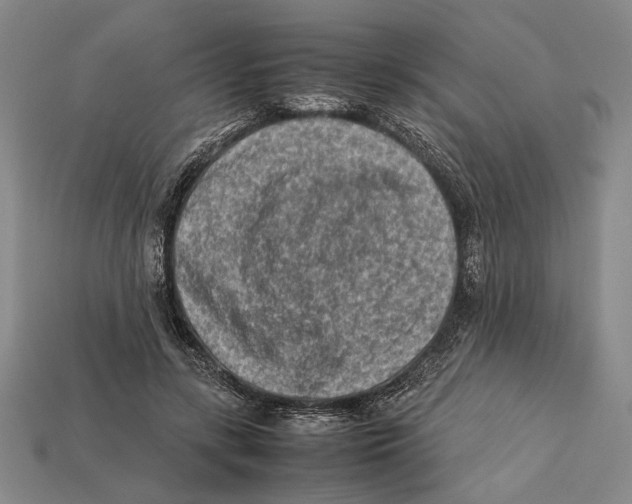 X0000112400547200909110931