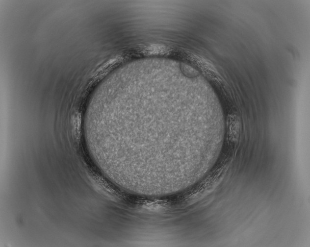 X0000112400550200909110931