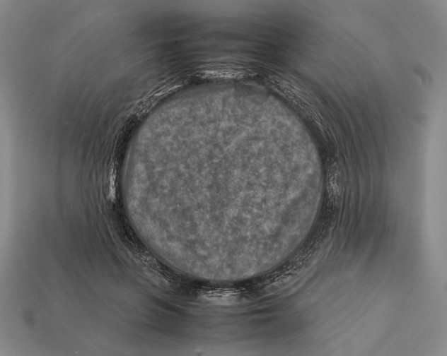 X0000112400551200909110931
