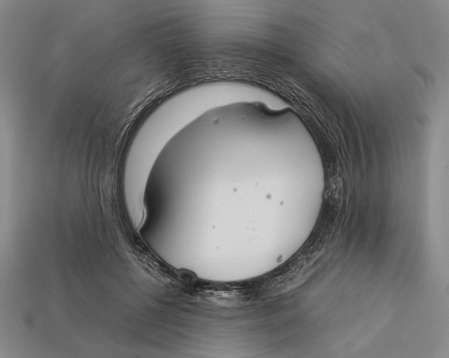 X0000112400552200909110931