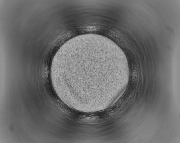 X0000112400555200909110931