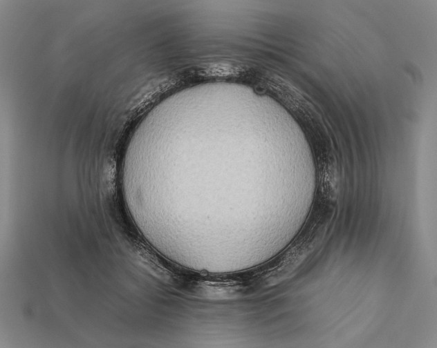 X0000112400556200909110931