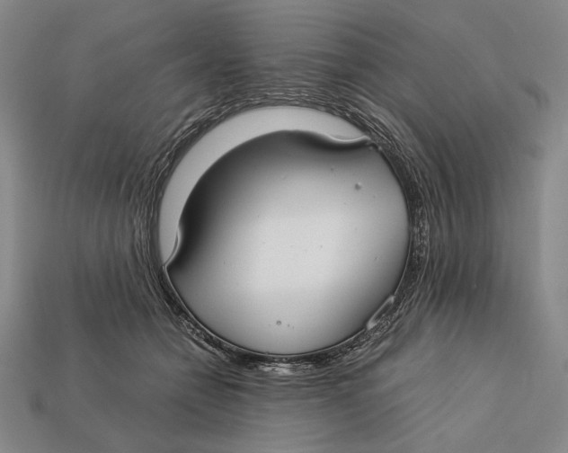 X0000112400558200909110931