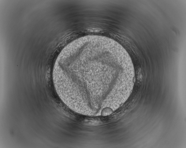 X0000112400559200909110931