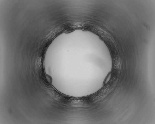 X0000112400560200909110931