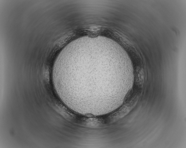 X0000112400562200909110931