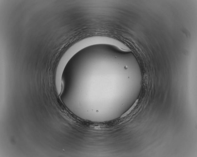 X0000112400564200909110931
