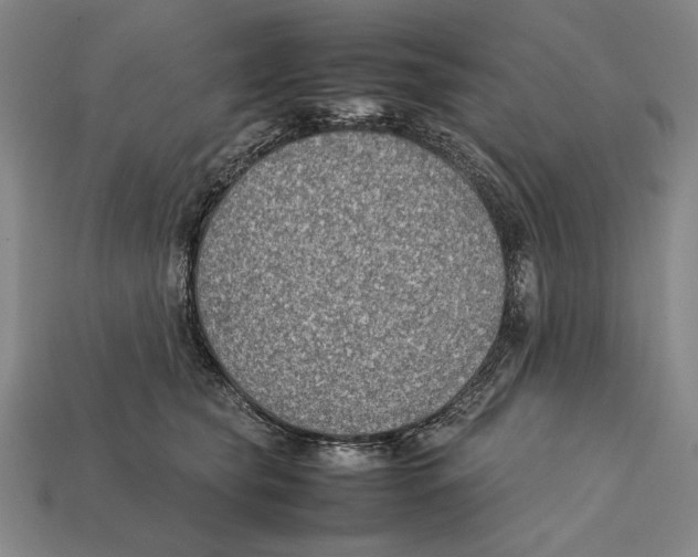 X0000112400565200909110931
