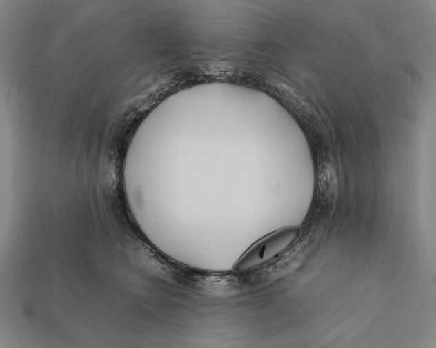 X0000112400566200909110931