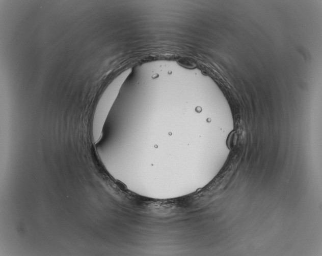 X0000112400568200909110931