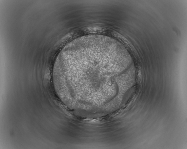 X0000112400569200909110931