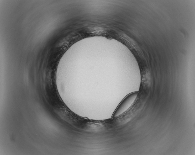 X0000112400572200909110931
