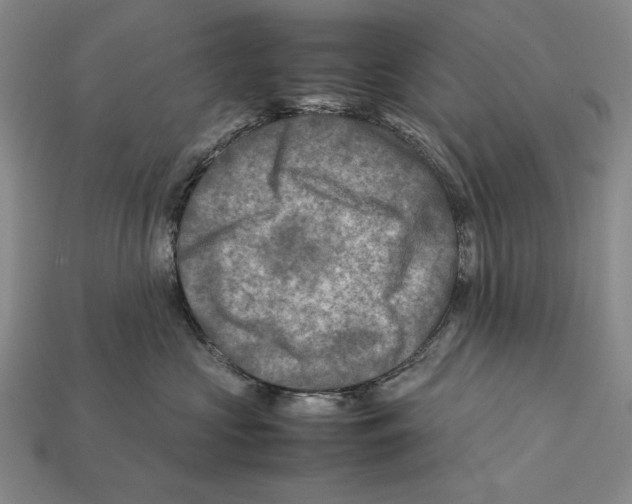 X0000112400573200909110931