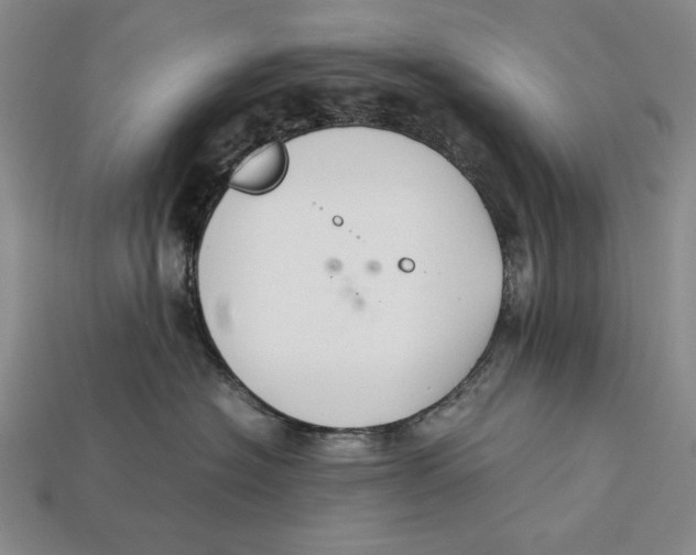 X0000112400574200909110931