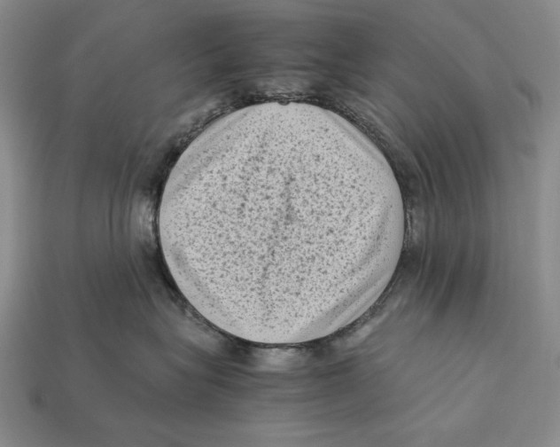 X0000112400575200909110931