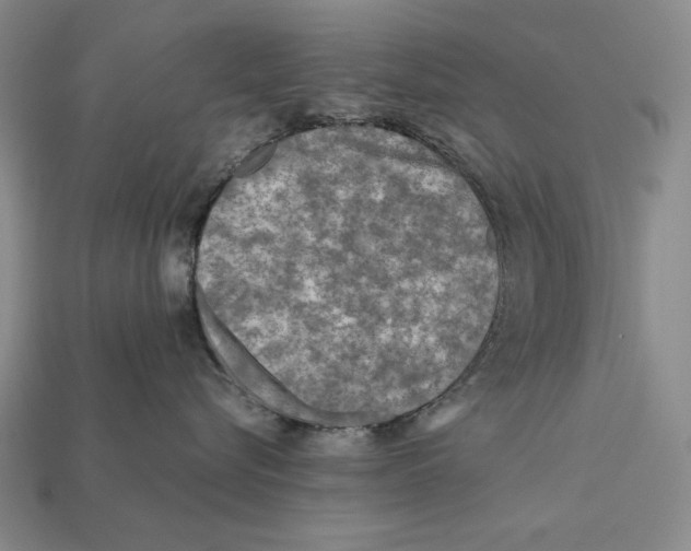 X0000112400576200909110931