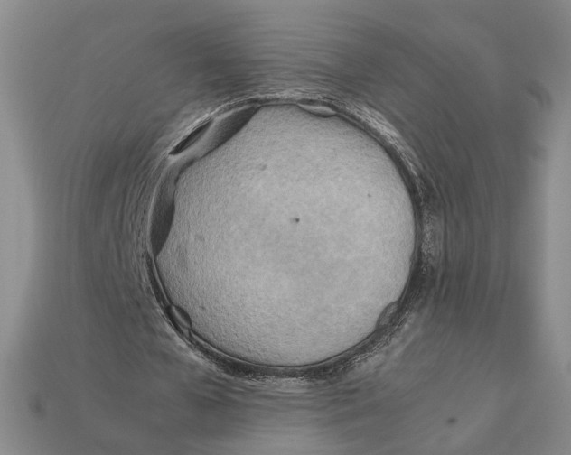 X0000112400577200909110931