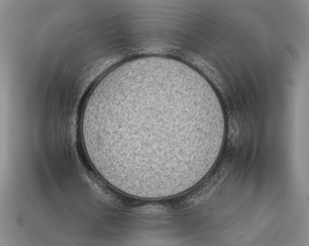 X0000112400578200909110931