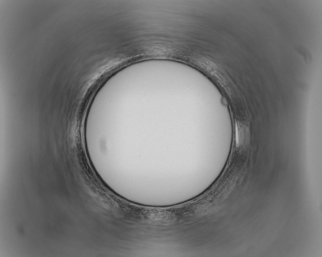 X0000112400579200909110931