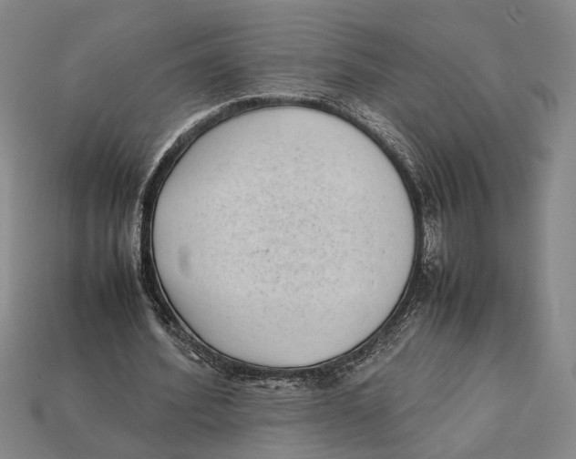 X0000112400580200909110931