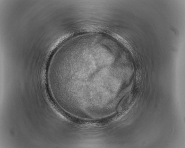 X0000112400581200909110931
