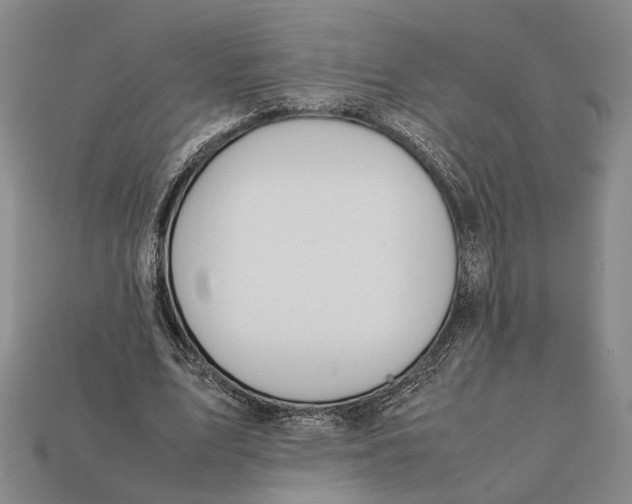 X0000112400583200909110931