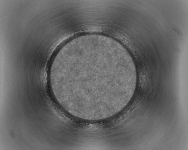 X0000112400584200909110931