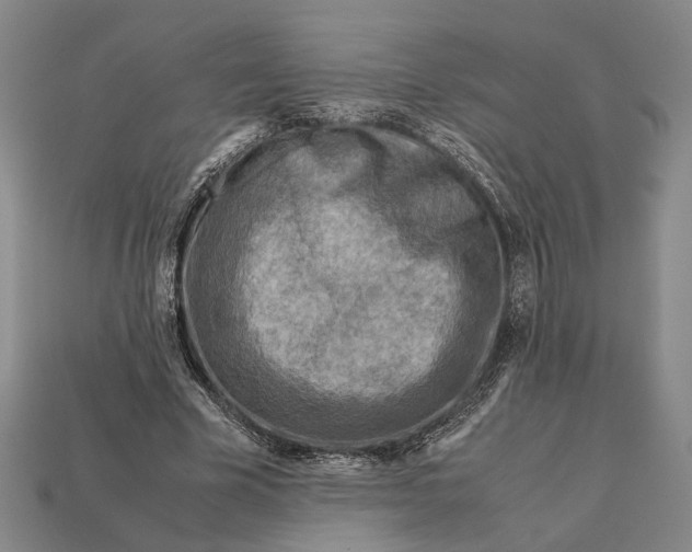 X0000112400585200909110931