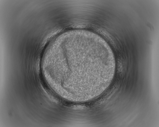 X0000112400586200909110931