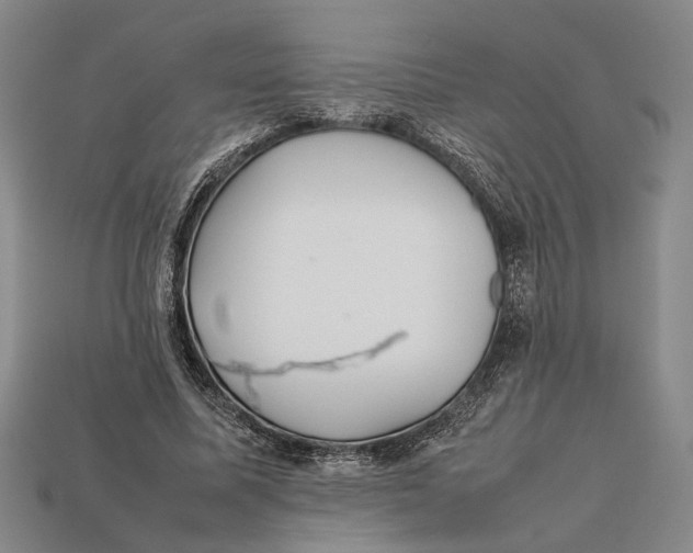 X0000112400587200909110931