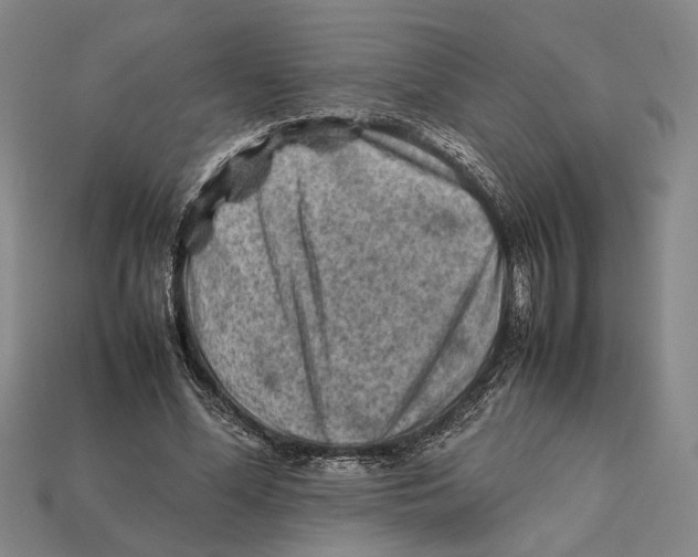 X0000112400588200909110931