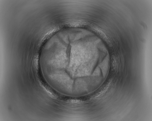 X0000112400590200909110931