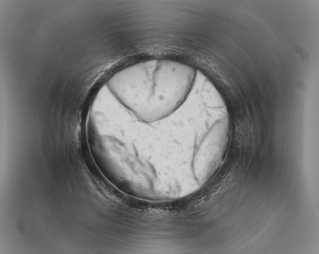 X0000112400592200909110931