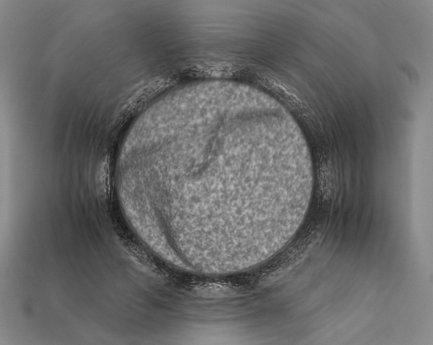 X0000112400594200909110931