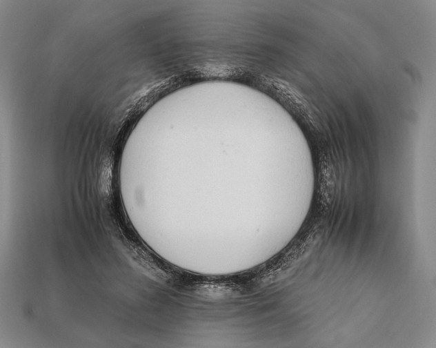 X0000112400596200909110931