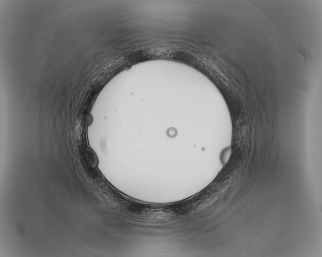 X0000112400597200909110931