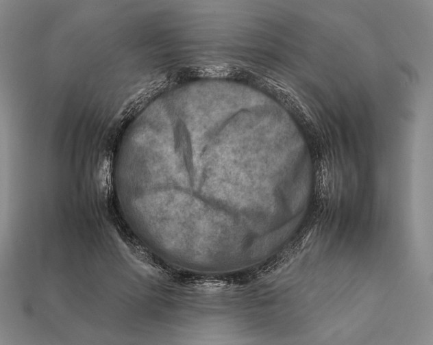 X0000112400598200909110930