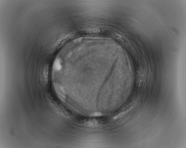 X0000112400600200909110930