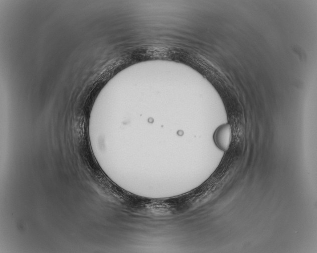 X0000112400603200909110930